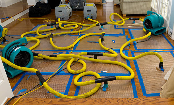 Professional Crawl Space Water Removal technician working in Harkers Island, NC
